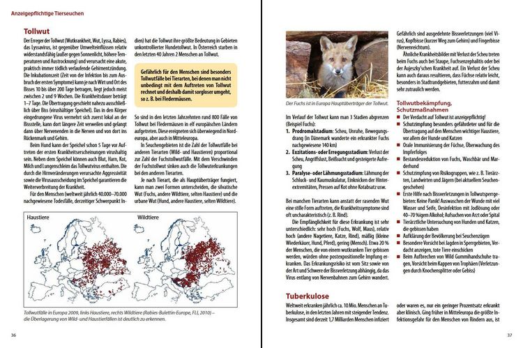 Produktbild: Die h&auml;ufigsten Nutztierkrankheiten