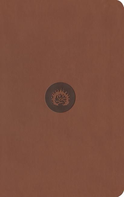 Produktbild: ESV Reformation Study Bible, Student Edition - Brown, Leather-Like