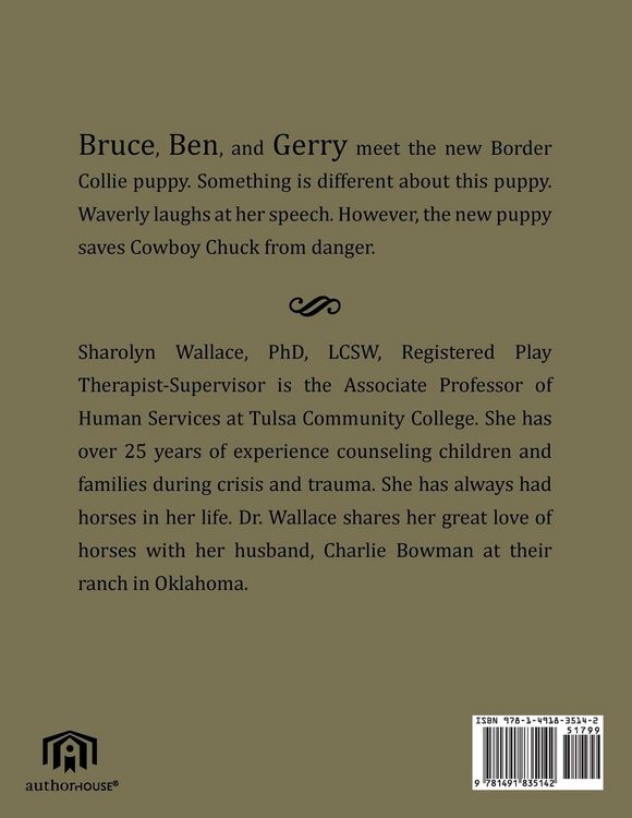 Produktbild: The Adventures of Bruce, Ben & Gerry