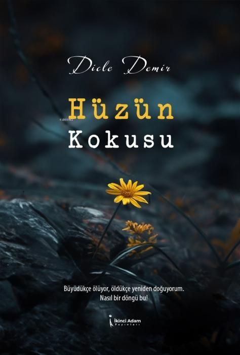 Produktbild: H&uuml;z&uuml;n Kokusu
