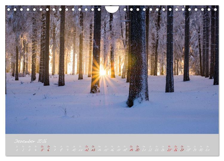Produktbild: Th&uuml;ringer Wald Das Gr&uuml;ne Herz Deutschlands (Wandkalender 2026 DIN A4 quer), CALVENDO Monatskalender