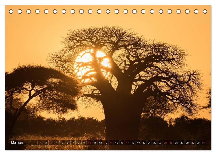Produktbild: Ostafrika (Tischkalender 2026 DIN A5 quer), CALVENDO Monatskalender