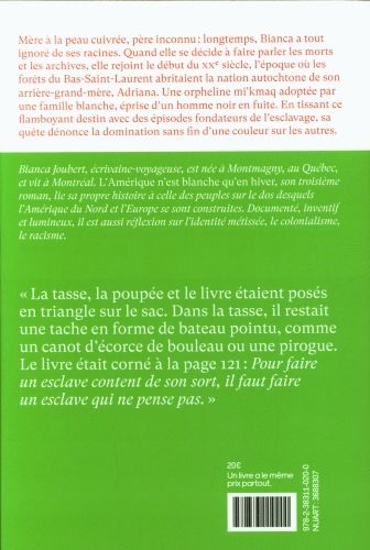 Produktbild: L'Am&eacute;rique n'est blanche qu'en hiver