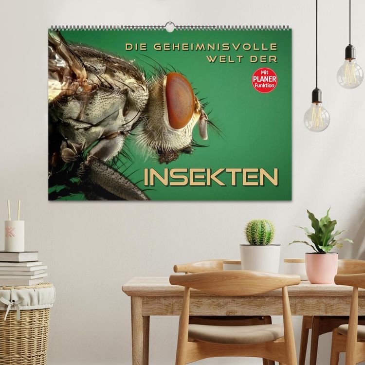 Produktbild: Die geheimnisvolle Welt der Insekten (Wandkalender 2026 DIN A2 quer), CALVENDO Monatskalender
