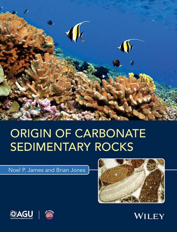 Produktbild: Origin of Carbonate Sedimentary Rocks