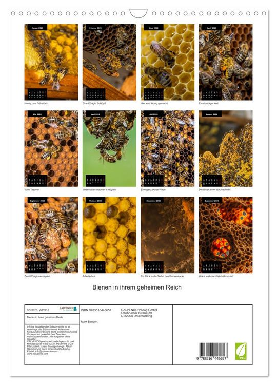 Produktbild: Bienen in ihrem geheimen Reich (Wandkalender 2026 DIN A3 hoch), CALVENDO Monatskalender