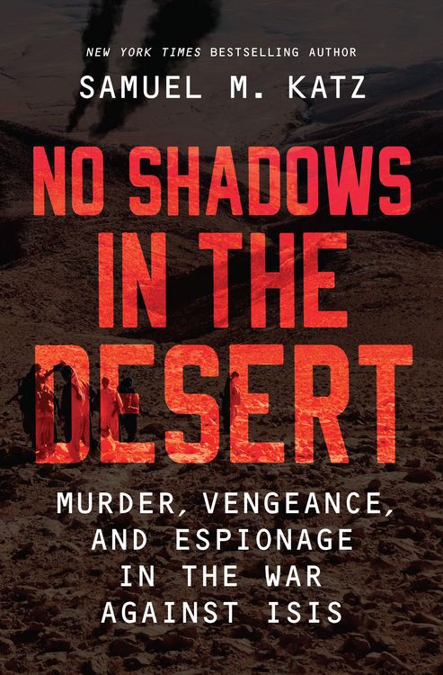 Produktbild: No Shadows in the Desert