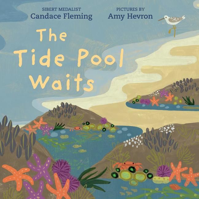 Produktbild: The Tide Pool Waits
