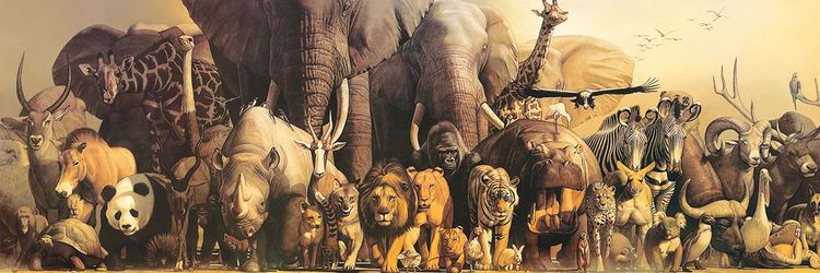 Produktbild: FINE ART PANORAMIC NOAHS ARK
