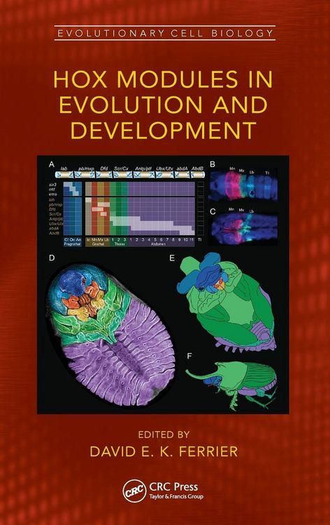 Produktbild: Hox Modules in Evolution and Development