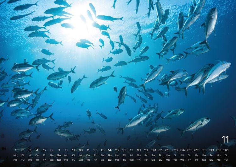 Produktbild: Meer &ndash; Im Rhythmus der Gezeiten! - 2027 - Kalender DIN A2