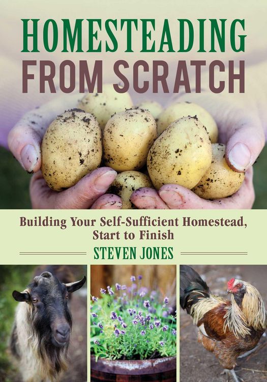 Produktbild: Homesteading From Scratch