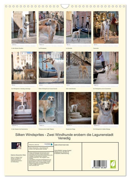 Produktbild: Silken Windsprites - Zwei Windhunde erobern die Lagunenstadt Venedig (Wandkalender 2026 DIN A3 hoch), CALVENDO Monatskalender