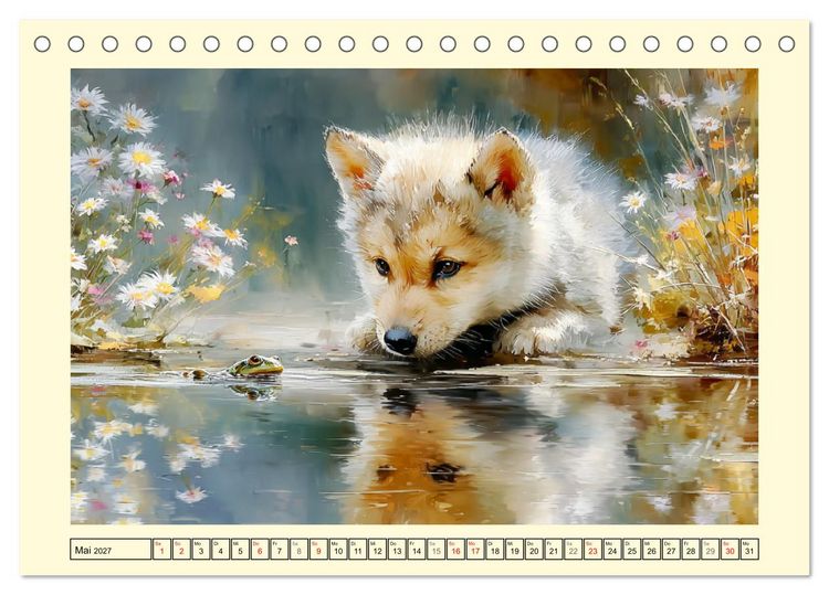 Produktbild: Waldseelen. Verspielte W&ouml;lfe im Licht der Natur (Tischkalender 2027 DIN A5 quer), CALVENDO Monatskalender