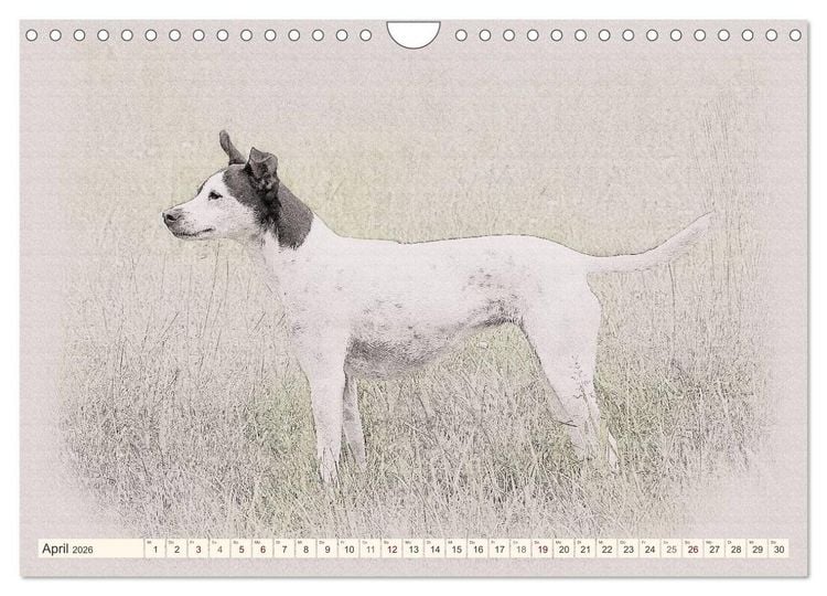 Produktbild: Bodeguero Andaluz 2026 (Wandkalender 2026 DIN A4 quer), CALVENDO Monatskalender