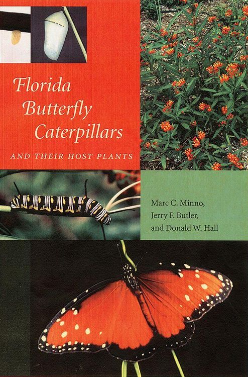 Produktbild: Florida Butterfly Caterpillars and Their Host Plants
