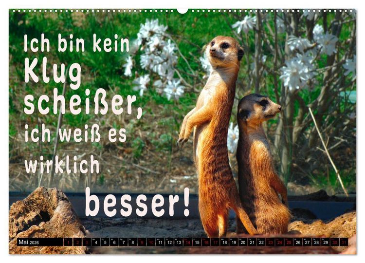 Produktbild: Spruchreif - Gute-Laune-Kalender (hochwertiger Premium Wandkalender 2026 DIN A2 quer), Kunstdruck in Hochglanz