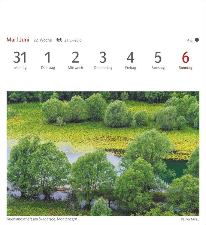 Produktbild: B&auml;ume Postkartenkalender 2027 - Wochenkalender mit 53 Postkarten