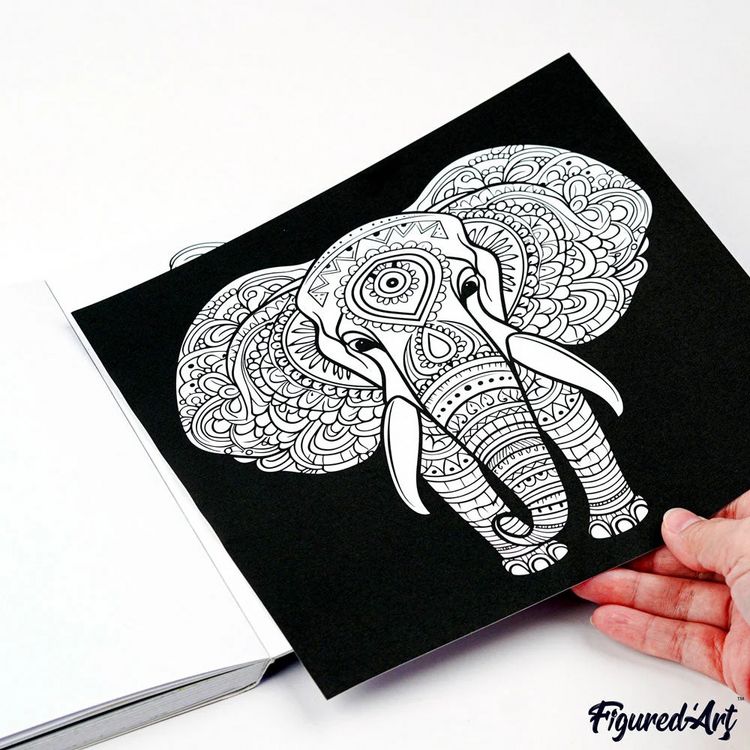Produktbild: FiguredArt CB-AU01 - Malbuch f&uuml;r Erwachsene, Tieruniversum, 50 Seiten, 21x21cm