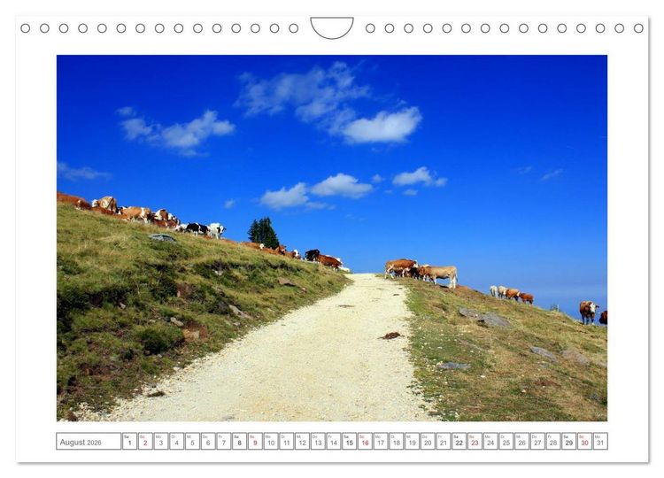 Produktbild: K&auml;rnten - Das Wanderparadies im S&uuml;den &Ouml;sterreichs (Wandkalender 2026 DIN A4 quer), CALVENDO Monatskalender