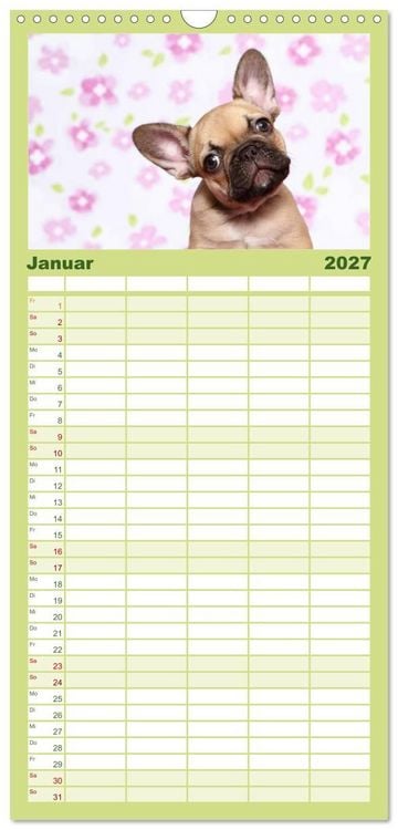 Produktbild: Familienplaner 2027 - Der Bully - Kalender Familienplaner hoch mit 5 Spalten (Wandkalender, 21 x 45 cm) CALVENDO