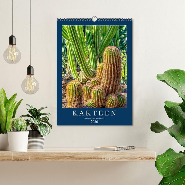Produktbild: Kakteen - Stacheliges aus S&uuml;damerika (Wandkalender 2026 DIN A3 hoch), CALVENDO Monatskalender