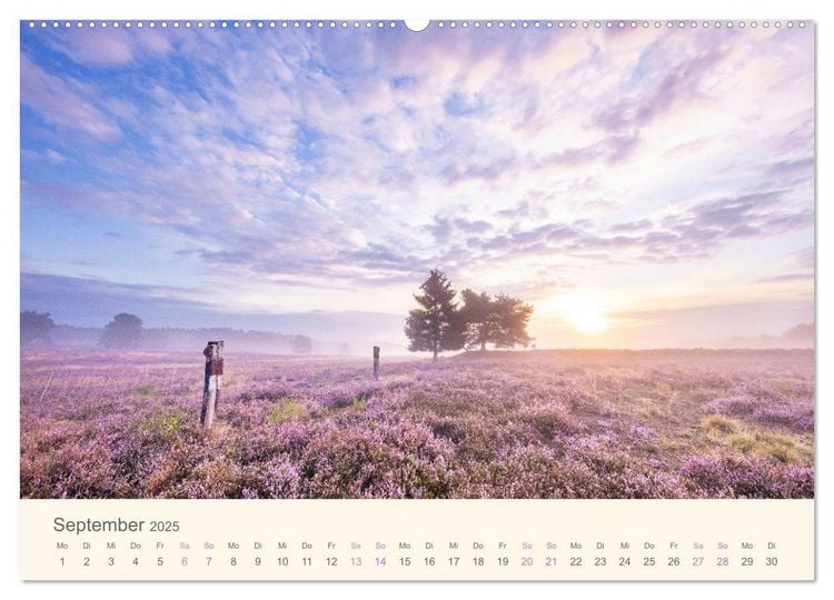Mehlinger Heide (Wandkalender 2025 DIN A2 quer), CALVENDO Monatskalender