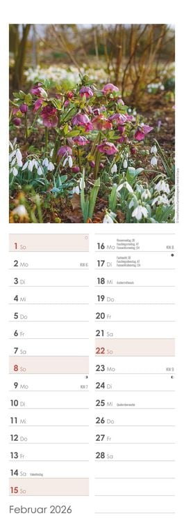Produktbild: Gartenzauber 2026 - Streifenkalender 15x42 cm - mit viel Platz für Eintragungen - Gärten - Bildkalender - Wandplaner - Gartenkalender