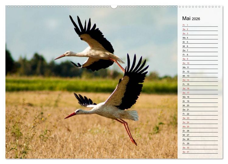 Produktbild: Litauen - Streifz&uuml;ge durch die junge Ostseerepublik (hochwertiger Premium Wandkalender 2026 DIN A2 quer), Kunstdruck in Hochglanz