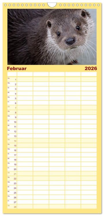 Produktbild: Familienplaner 2026 - Fischotter, flinke J&auml;ger mit 5 Spalten (Wandkalender, 21 x 45 cm) CALVENDO
