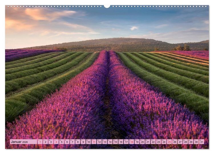 Produktbild: Provence, Lavendelzeit in S&uuml;dfrankreich (hochwertiger Premium Wandkalender 2026 DIN A2 quer), Kunstdruck in Hochglanz