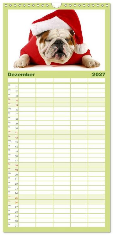 Produktbild: Familienplaner 2027 - English Bulldog XXL Models mit 5 Spalten (Wandkalender, 21 x 45 cm) CALVENDO
