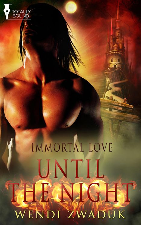 Produktbild: Until the Night
