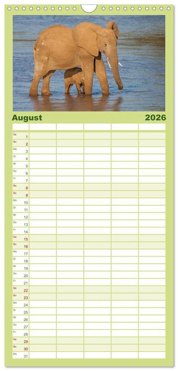 Produktbild: Familienplaner 2026 - Emotionale Momente: Afrika Wildlife. Part 3. mit 5 Spalten (Wandkalender, 21 x 45 cm) CALVENDO