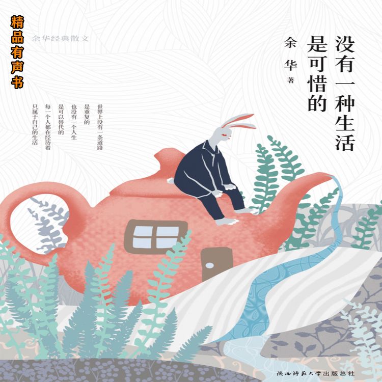 Produktbild: 没有一种生活是可惜的：余华经典散文