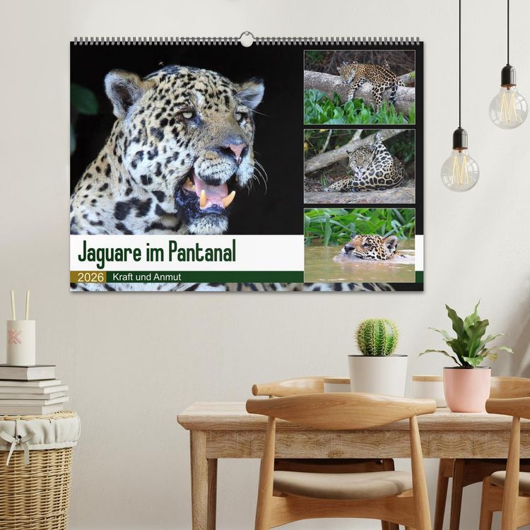 Produktbild: Jaguare im Pantanal (Wandkalender 2026 DIN A2 quer), CALVENDO Monatskalender