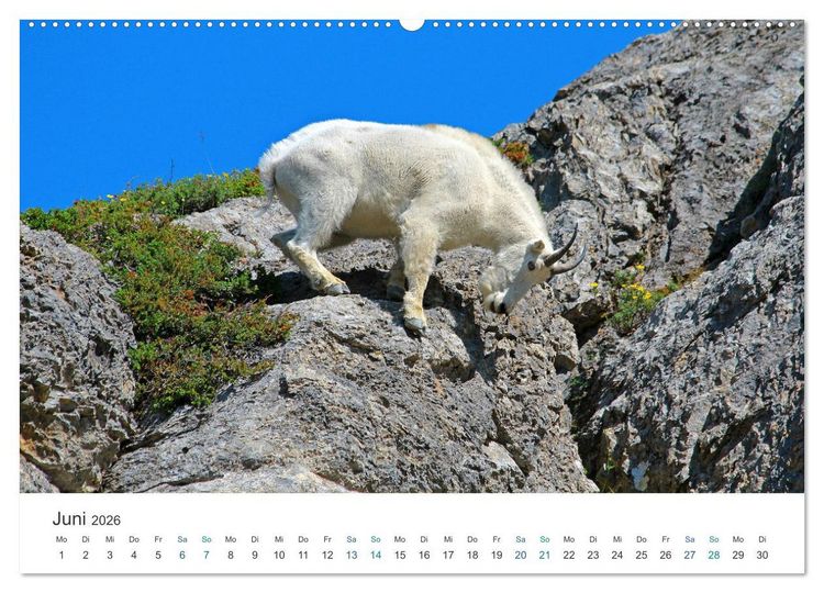 Produktbild: Icefields Parkway in Kanada (hochwertiger Premium Wandkalender 2026 DIN A2 quer), Kunstdruck in Hochglanz