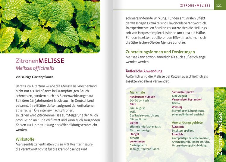 Produktbild: Gr&uuml;ne Hausapotheke f&uuml;r Katzen. Kompakt-Ratgeber