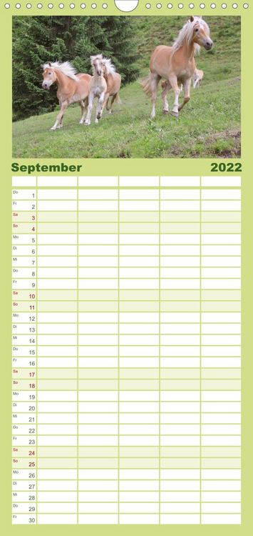 Produktbild: Familienplaner Alpenpferde (Wandkalender 2022 , 21 cm x 45 cm, hoch)