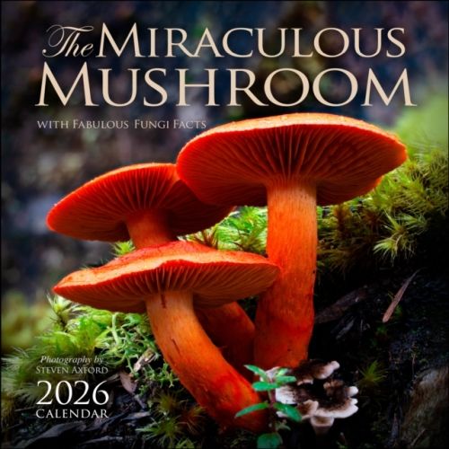 Produktbild: The Miraculous Mushroom 2026 Wall Calendar