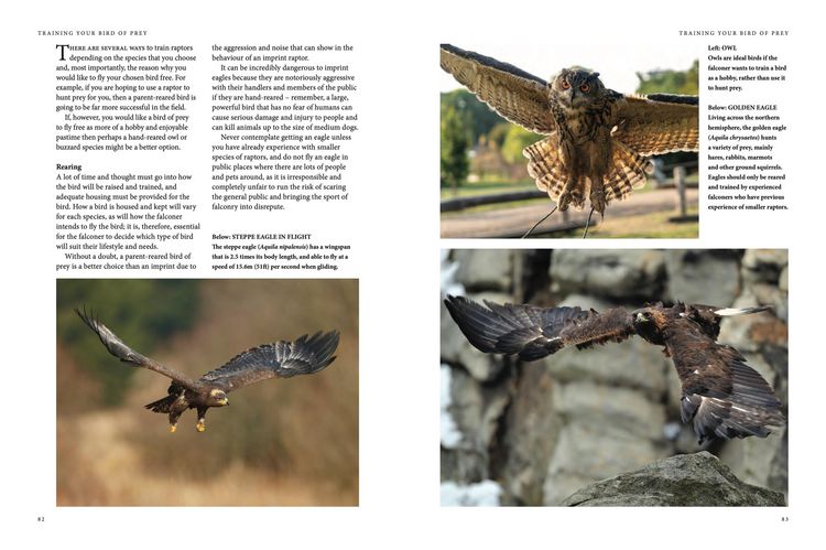 Produktbild: Falconry