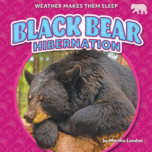 Produktbild: Black Bear Hibernation