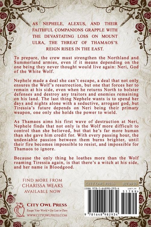 Produktbild: The Wolf and the Witch