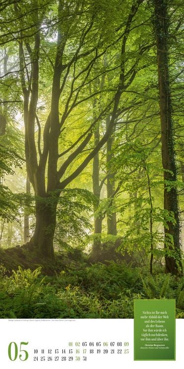 Produktbild: Mythos Wald Literatur-Kalender 2027
