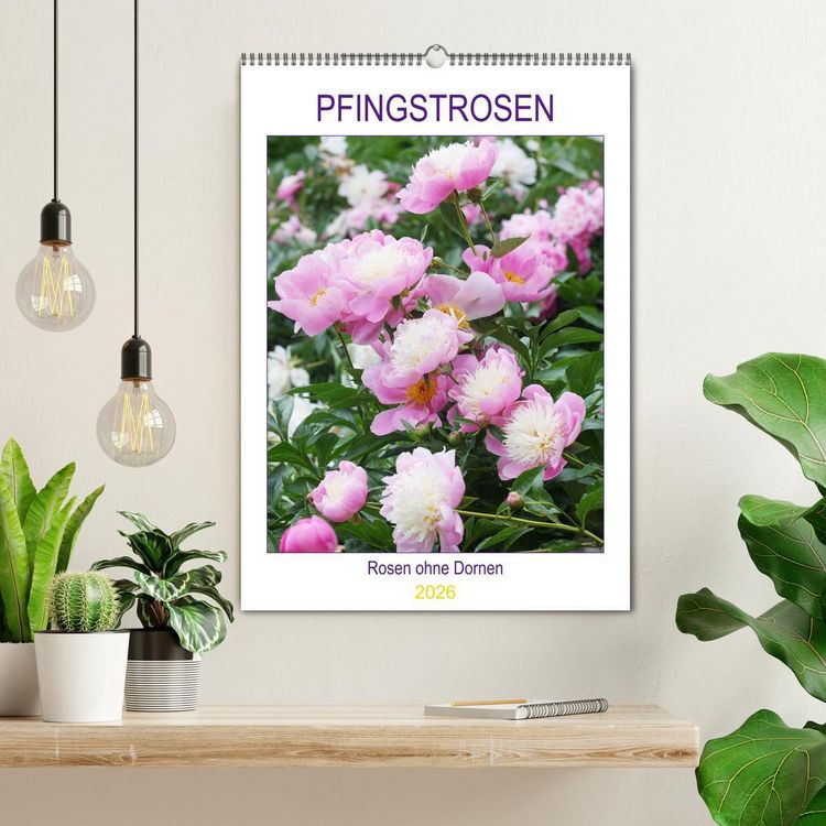 Produktbild: Pfingstrosen Rosen ohne Dornen (Wandkalender 2026 DIN A2 hoch), CALVENDO Monatskalender