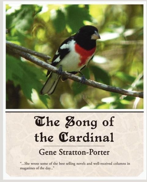 Produktbild: The Song of the Cardinal