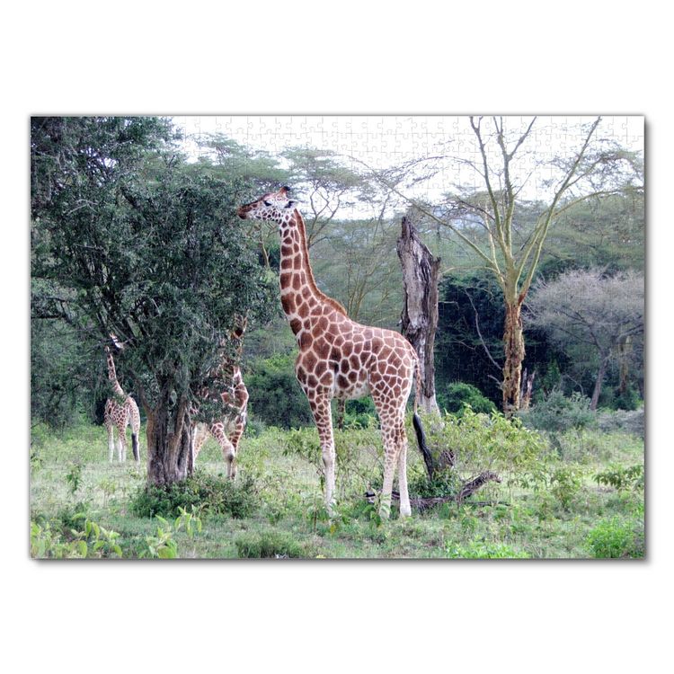 Produktbild: Lais Puzzle Giraffe 1000 Teile