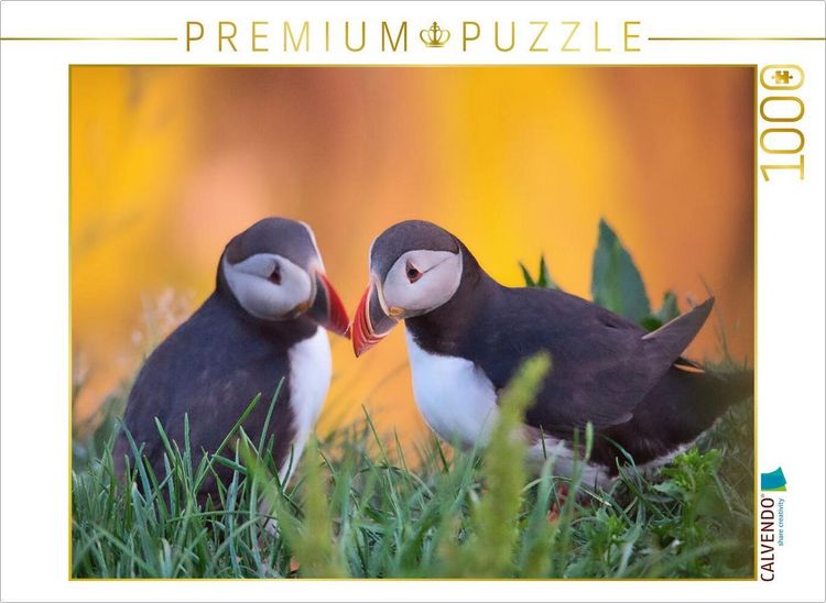 Produktbild: CALVENDO Puzzle zweisam | 1000 Teile Lege-Gr&ouml;&szlig;e 64x48cm Foto-Puzzle f&uuml;r gl&uuml;ckliche Stunden
