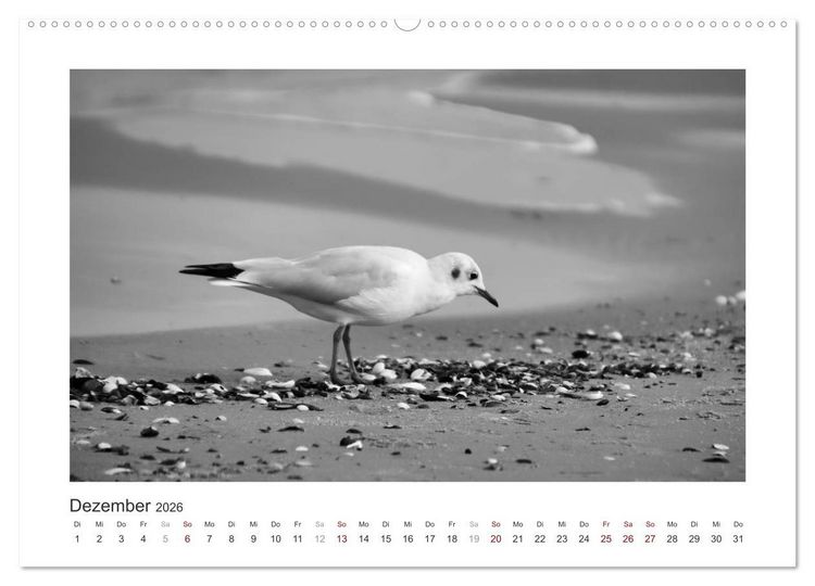 Produktbild: Monochrom Meer (Wandkalender 2026 DIN A2 quer), CALVENDO Monatskalender