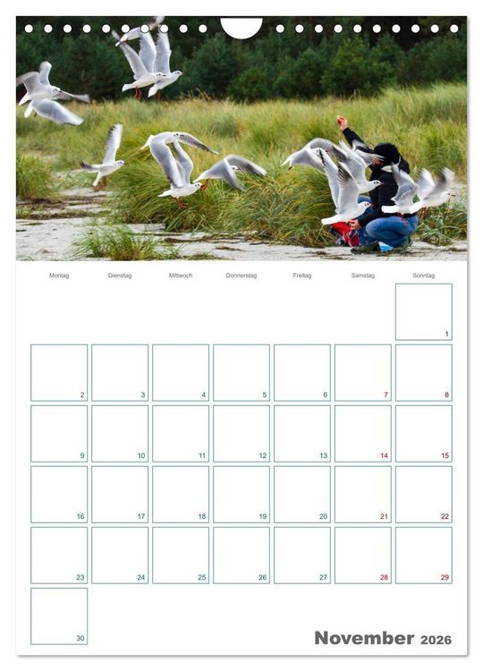 Produktbild: Ostseebad Prerow - Dar&szlig;er Momente - Terminplaner (Wandkalender 2026 DIN A4 hoch), CALVENDO Monatskalender